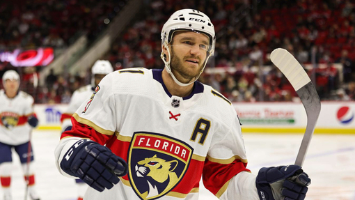 Каролина — Флорида. Прогноз и ставка на матч Прогноз на матч Каролина — Флорида