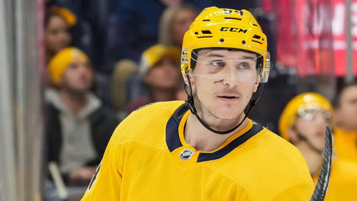 Нэшвилл — Тампа-Бэй. Прогноз и ставка на матч Прогноз на матч Нэшвилл — Тампа-Бэй