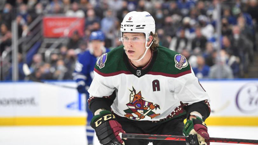 Прогноз на матч Оттава — Аризона