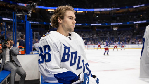 Каролина — Тампа-Бэй. Прогноз и ставка на матч Прогноз на матч Каролина — Тампа-Бэй