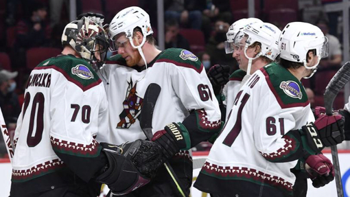 Прогноз на матч Виннипег — Аризона