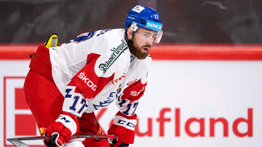 Чехия — Великобритания. Прогноз и ставка на матч Прогноз на матч Чехия — Великобритания