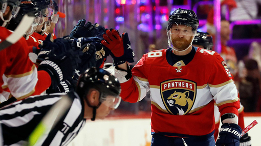 Флорида — Тампа-Бэй. Прогноз и ставка на матч Прогноз на матч Флорида — Тампа-Бэй