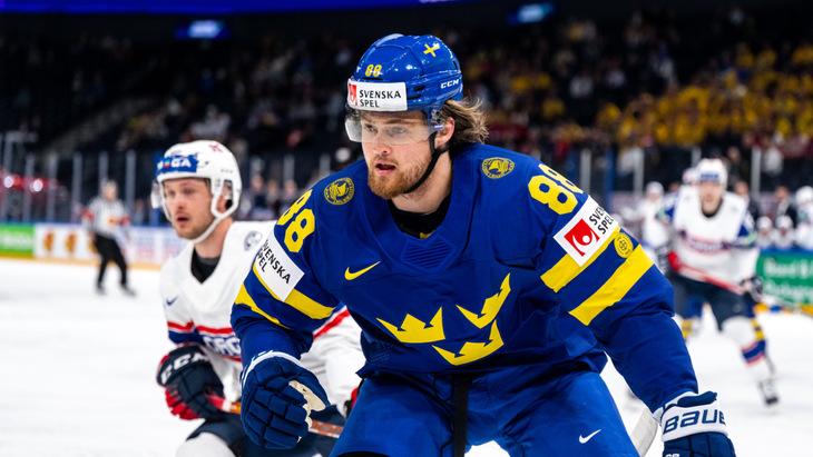 Вильям Нюландер