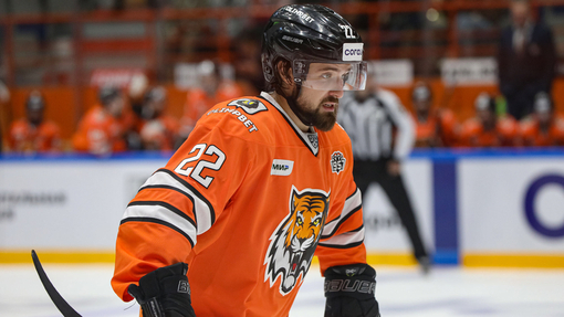 Прогноз на матч Амур — Салават Юлаев