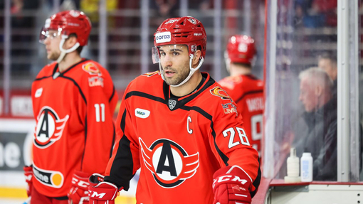 Витязь — Автомобилист. Прогноз и ставка на матч Прогноз на матч Витязь — Автомобилист