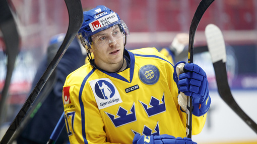 Финляндия — Швеция. Прогноз и ставка на матч Прогноз на матч Финляндия — Швеция