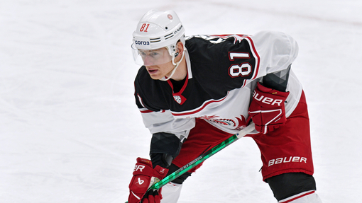 Прогноз на матч Витязь — Северсталь