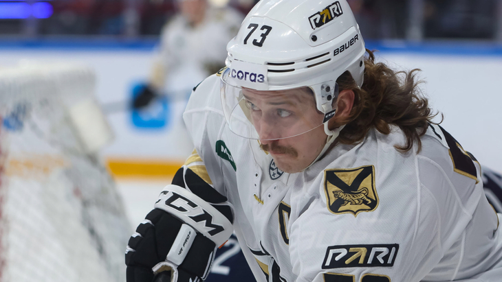 Либор Шулак