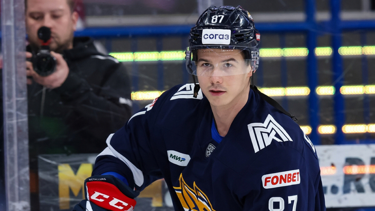 Николай Голдобин