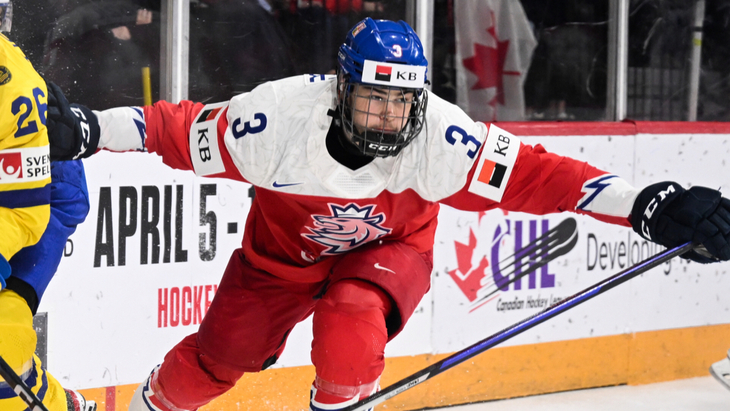 Давид Шпачек