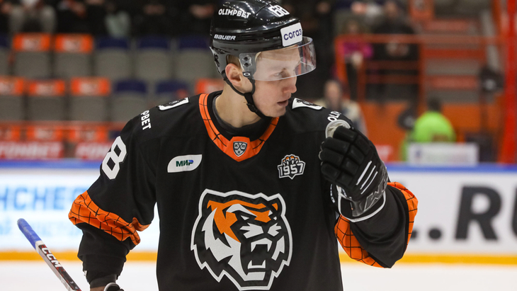 Денис Вихарев