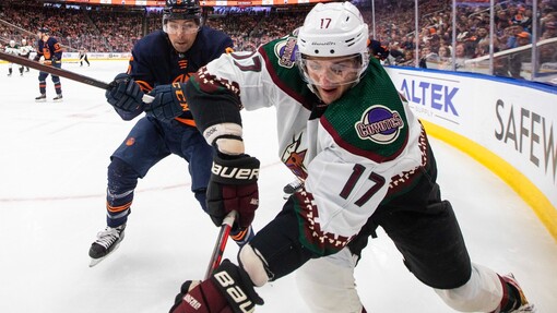 Аризона — Вашингтон. Прогноз и ставка на матч Прогноз на матч Аризона — Вашингтон