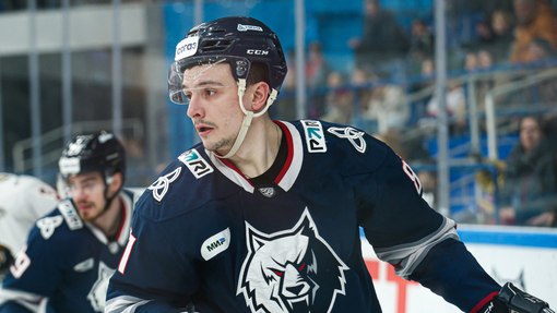 Автомобилист — Нефтехимик. Прогноз и ставка на матч Прогноз на матч Автомобилист — Нефтехимик