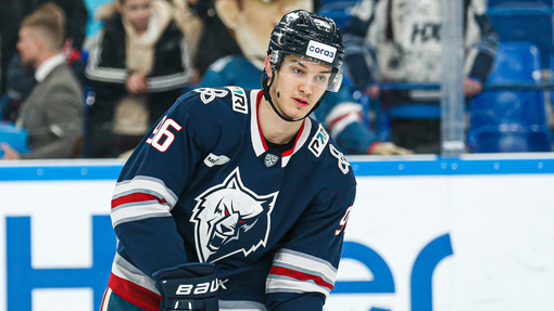 Витязь — Нефтехимик. Прогноз и ставка на матч Прогноз на матч Витязь — Нефтехимик