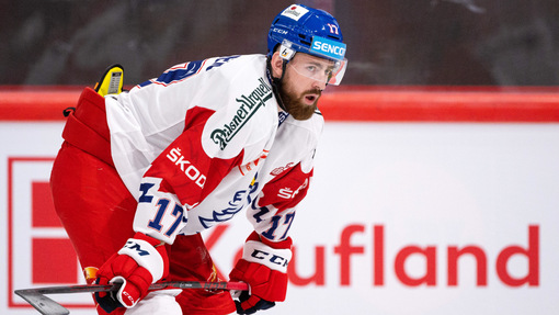 Финляндия — Чехия. Прогноз и ставка на матч Прогноз на матч Финляндия — Чехия