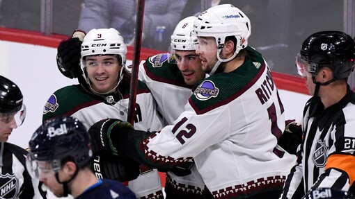 Аризона — Калгари. Прогноз и ставка на матч Прогноз на матч Аризона — Калгари