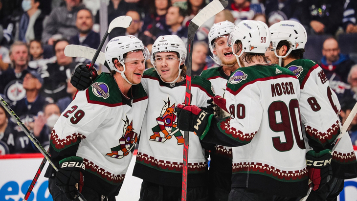 «Аризона» против «Виннипега»