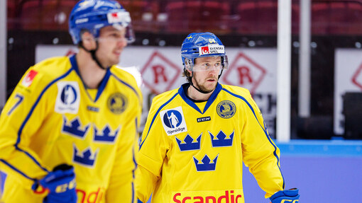 Швеция — Франция. Прогноз и ставка на матч Прогноз на матч Швеция — Франция