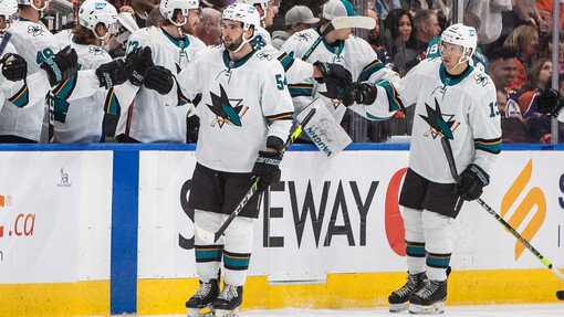 Флорида — Сан-Хосе. Прогноз и ставка на матч Прогноз на матч Флорида — Сан-Хосе