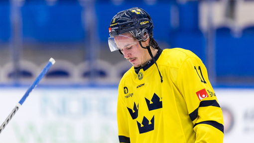 Швеция — Швейцария. Прогноз и ставка на матч Прогноз на матч Швеция — Швейцария