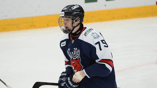 Амур — Торпедо. Прогноз и ставка на матч Прогноз на матч Амур — Торпедо