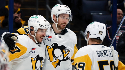 Питтсбург — Нью-Джерси. Прогноз и ставка на матч Прогноз на матч Питтсбург — Нью-Джерси