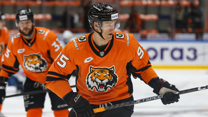 Дмитрий Шевченко