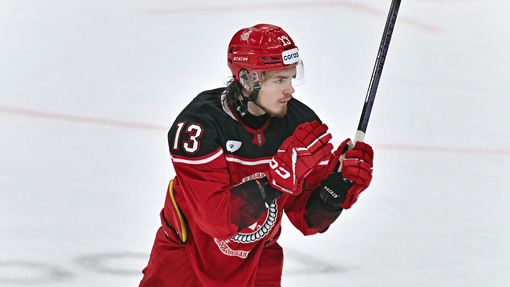 Прогноз на матч Витязь — Ак Барс