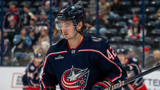 Коламбус — Оттава. Прогноз и ставка на матч Прогноз на матч Коламбус — Оттава