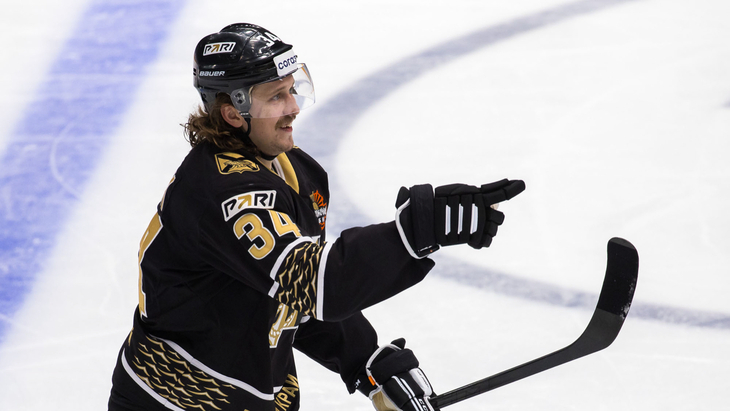 Либор Шулак