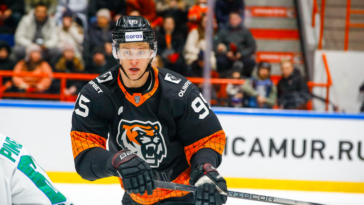 Дмитрий Шевченко