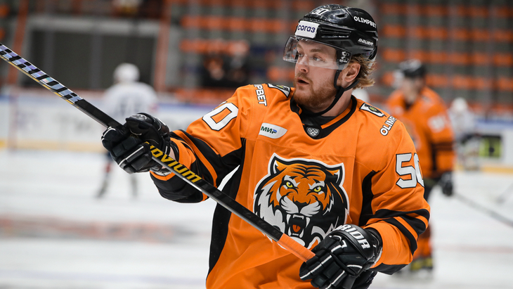 Александр Щемеров