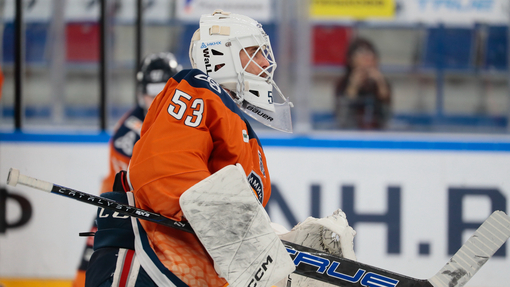 Прогноз на матч Торпедо — Нефтехимик