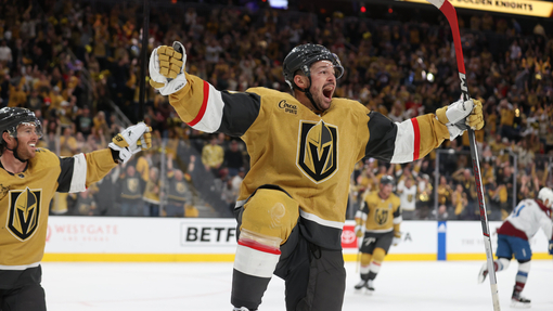 Вегас — Анахайм. Прогноз и ставка на матч Прогноз на матч Вегас — Анахайм