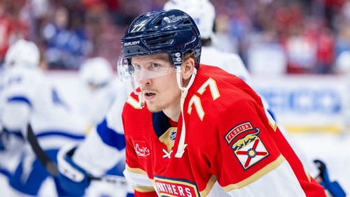 Флорида — Тампа-Бэй. Прогноз и ставка на матч Прогноз на матч Флорида — Тампа-Бэй