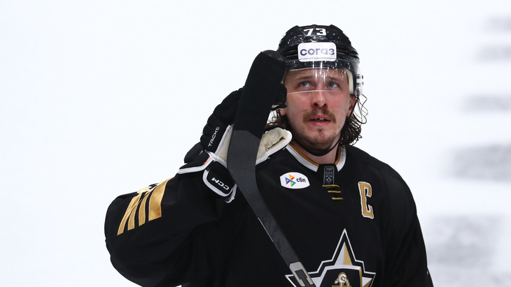 Либор Шулак