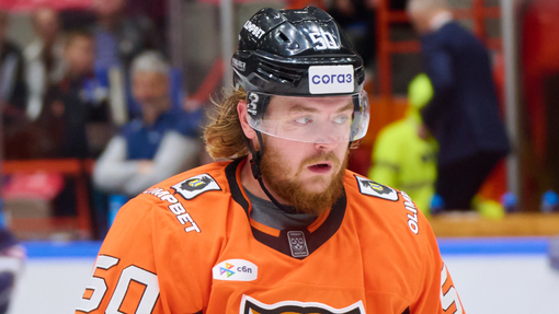 Амур — Северсталь. Прогноз и ставка на матч Прогноз на матч Амур — Северсталь