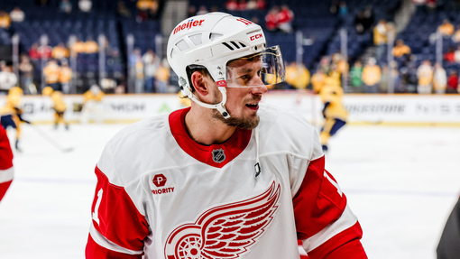 Детройт — Эдмонтон. Прогноз и ставка на матч Прогноз на матч Детройт — Эдмонтон