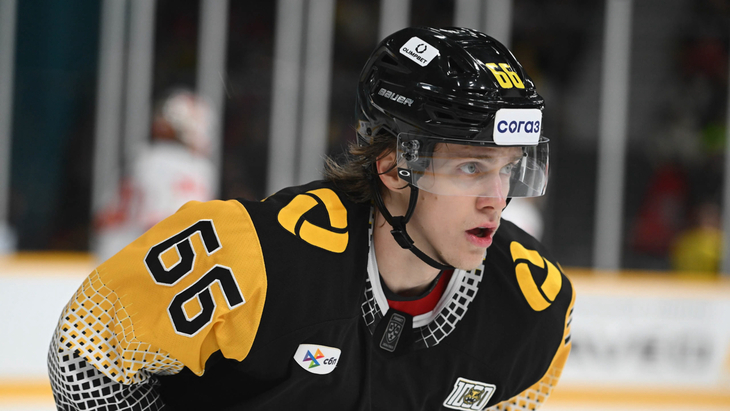 Иван Подшивалов