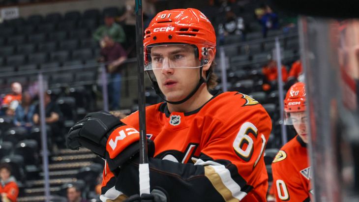 Каттер Готье