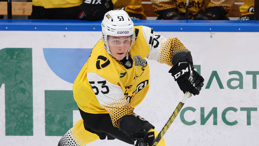 Северсталь — Витязь. Прогноз и ставка на матч Прогноз на матч Северсталь — Витязь