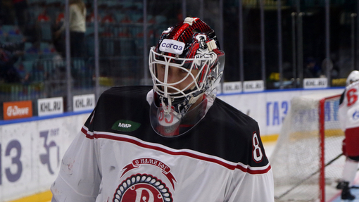 Витязь — Нефтехимик. Прогноз и ставка на матч Прогноз на матч Витязь — Нефтехимик