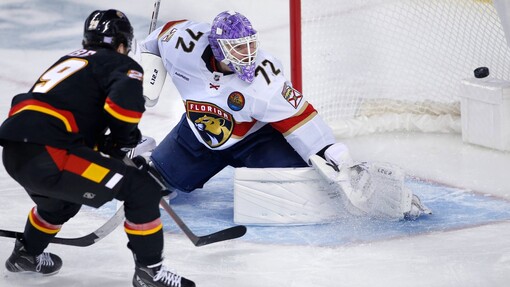 Прогноз на матч Флорида — Сан-Хосе