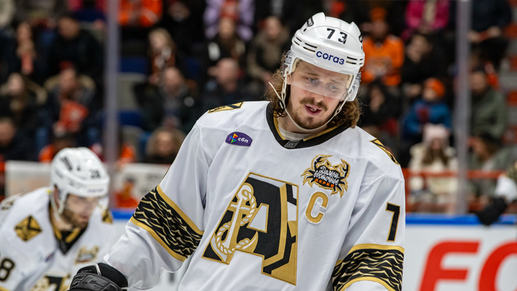 Либор Шулак