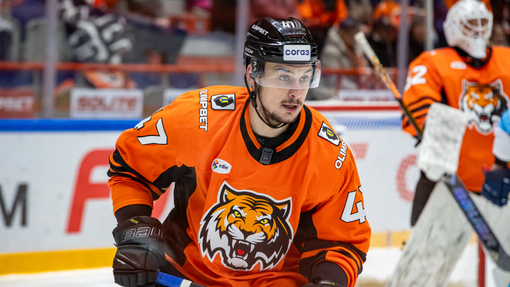 Сочи — Амур. Прогноз и ставка на матч Прогноз на матч Сочи — Амур