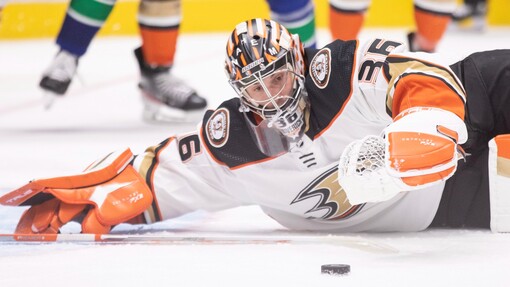 Каролина — Анахайм. Прогноз и ставка на матч Прогноз на матч Каролина — Анахайм