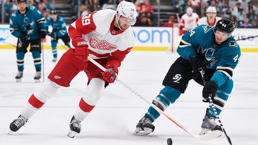 Детройт — Сан-Хосе. Прогноз и ставка на матч Прогноз на матч Детройт — Сан-Хосе