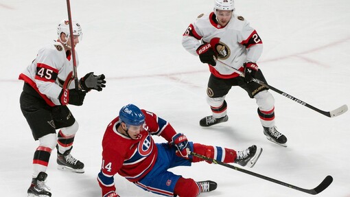 Нью-Йорк Рейнджерс — Оттава. Прогноз и ставка на матч Прогноз на матч Нью-Йорк Рейнджерс — Оттава