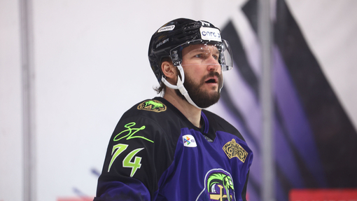 Адмирал — Автомобилист. Прогноз и ставка на матч Прогноз на матч Адмирал — Автомобилист